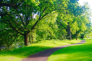 This picture was taken when I was walking around our loch that's on campus. 
